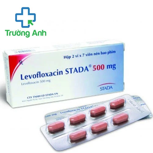 Levofloxacin Stada 500mg - Điều trị viêm phổi hiệu quả