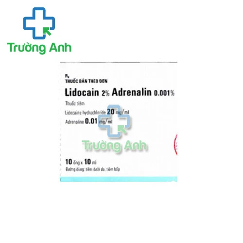 Lidocain 2% Adrenalin 0.001% Egis 10ml - Thuốc gây tê hiệu quả