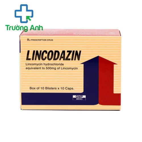 Lincodazin - Thuốc điều trị nhiễmtrùng đường hô hấp