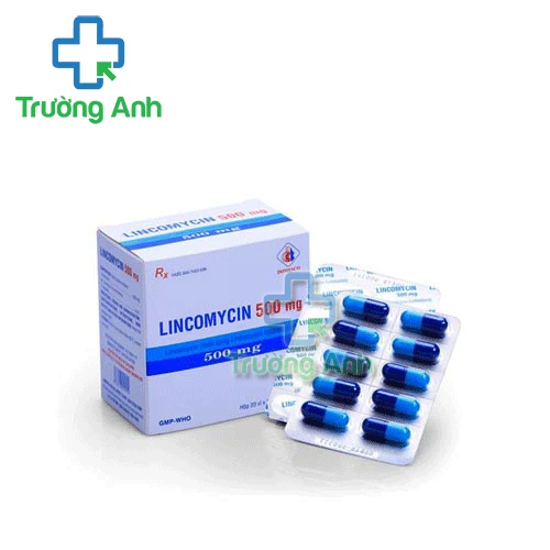 Lincomycin 500mg Pharbaco - Thuốc điều trị nhiễm khuẩn