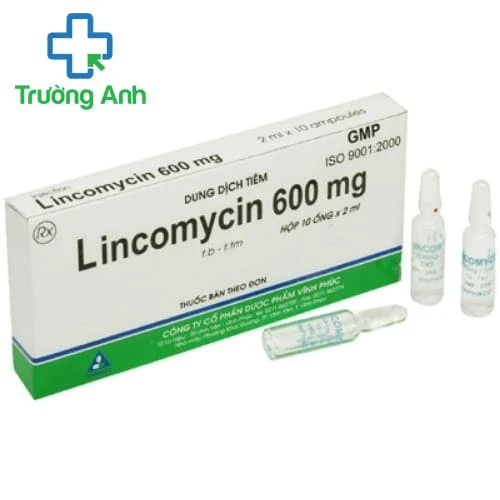 Lincomycin Vinphaco 600mg/2ml - Điều trị hen phế quản