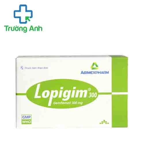 LOPIGIM 300 - Thuốc điều trị tăng lipid máu hiệu quả của Agimexpharm