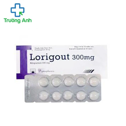 Lorigout 300mg - Thuốc giảm đau hạ sốt, chống viêm hiệu quả
