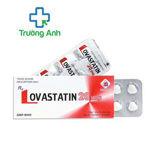 Lovastatin 20mg - Thuốc điều trị rối loạn lipid máu của Domesco