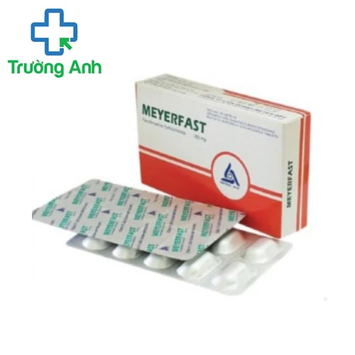 Meyerfast - Thuốc điều trị viêm mũi dị ứng, mề đay hiệu quả