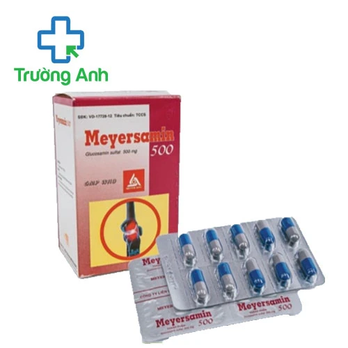 Meyersamin 500 - Sản phẩm giúp tăng tiết dịch khớp hiệu quả