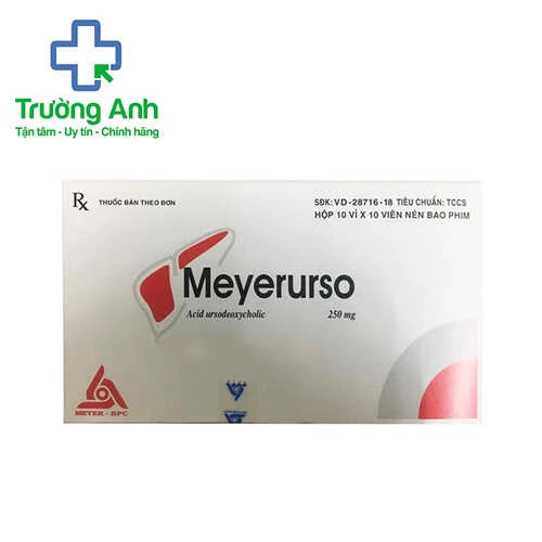 Meyerurso 250mg - Cải thiện chức năng gan trong viêm gan mạn tính hiệu quả