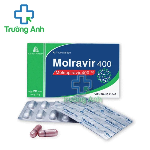 Molravir 400 (molnupiravir) Boston - Thuốc điều trị Covid-19