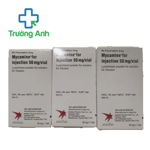 Mycamine for injection 50mg/vial - Thuốc điều trị nấm hiệu quả