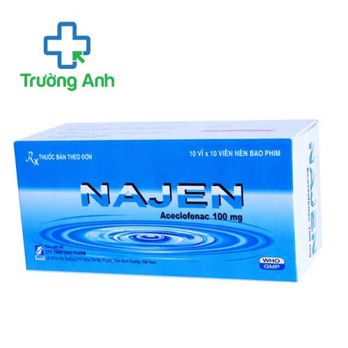 Najen - Hỗ trợ giảm đau, kháng viêm hiệu quả