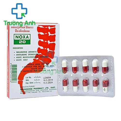  Noxa 20 - Thuốc điều trị bệnh lý về xương khớp hiệu quả