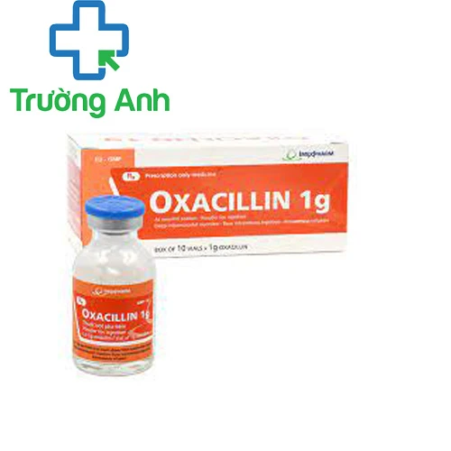 Oxacillin 1g Imexpharm - Thuốc điều trị nhiễm khuẩn do tụ cầu