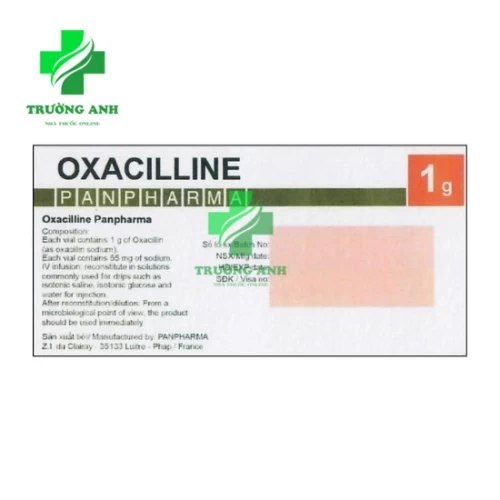 Oxacilline Panpharma - Điều trị nhiễm khuẩn hô hấp trên và dưới