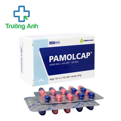 Pamolcap Agimexpharm (vỉ) - Điều trị giảm đau hiệu quả