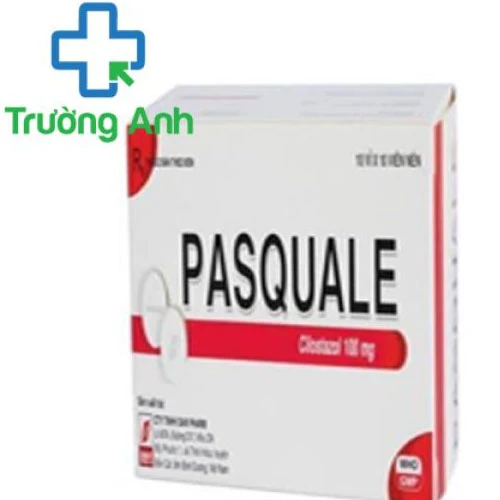 PASQUALE 100mga - Thuốc điều trị chứng thiếu máu hiệu quả