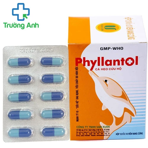 Phyllantol - Thuốc điều trị viêm gan siêu vi, nhiễm trùng hiệu quả