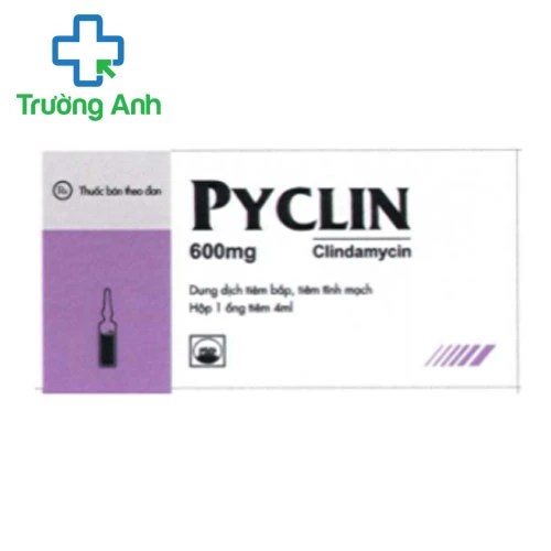 Pyclin 600 - Thuốc điều trị viêm amidan, viêm hầu họng