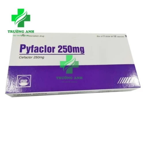 Pyfaclor 250mg - Thuốc điều trị nhiễm khuẩn đường hô hấp