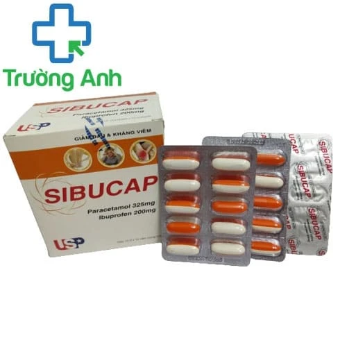 Sibucap - Thuốc điều trị viêm bao khớp, viêm khớp, đau cơ