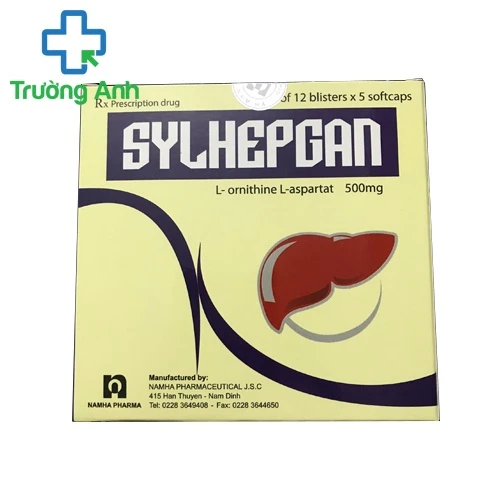 Sylhepgan - Thuốc điều trị bệnh gan hiệu quả của DP Nam Hà