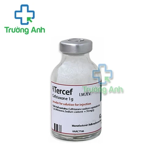 Tercef 1g Balkanpharma - Thuốc dự phòng, điều trị nhiễm khuẩn