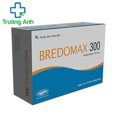 Bredomax 300 - Thuốc hỗ trợ điều trị mỡ máu hiệu quả