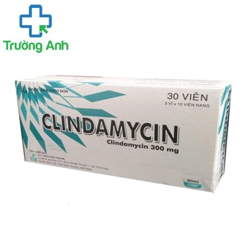 Clindamycin 300mg Davipharm - Điều trị nhiễm khuẩn hiệu quả
