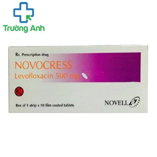 Novocress 500mg - Khử khuẩn đường hô hấp, viêm nhiễm tiết niệu