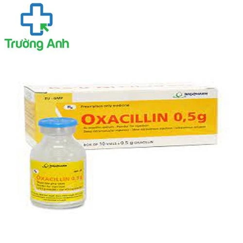 Oxacilin 0,5g - Thuốc điều trị nhiễm khuẩn hiệu quả của Imexpharm