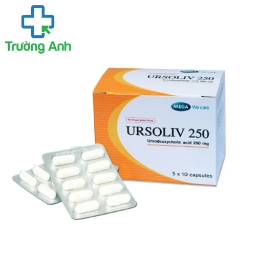 URSOLIV 250 - Thuốc điều trị sỏi mật, xơ gan nguyên phát của Thái Lan