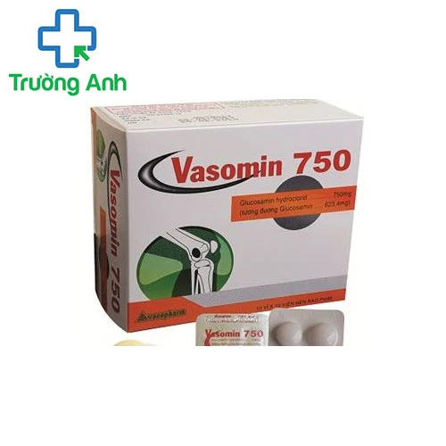Vasomin 750 - Điều trị thoái hóa xương khớp hiệu quả