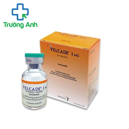 Velcade 1mg - Thuốc điều trị bệnh đa u tủy hiệu quả của Ý