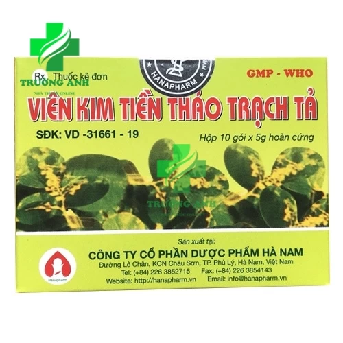 Viên kim tiền thảo trạch tả - Thuốc điều trị sỏi đường tiết niệu của DP Hà Nam