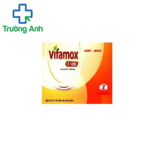 Vifamox F1000 - Thuốc điều trị nhiễm khuẩn hiệu quả