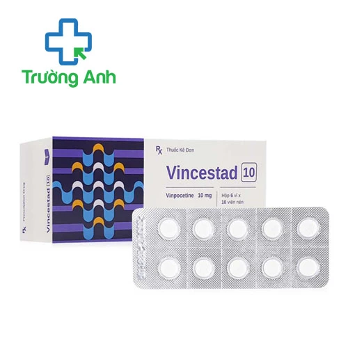 Vincestad 10 - Thuốc điều trị rối loạn tuần hoàn máu não
