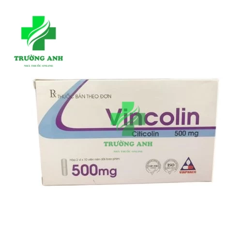 Vincolin 500mg/2ml Vinphaco - Trị rối loạn ý thức do chấn thương