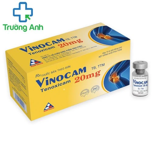 Vinocam 20mg - Thuốc giảm đau, chống viêm của Vinphaco