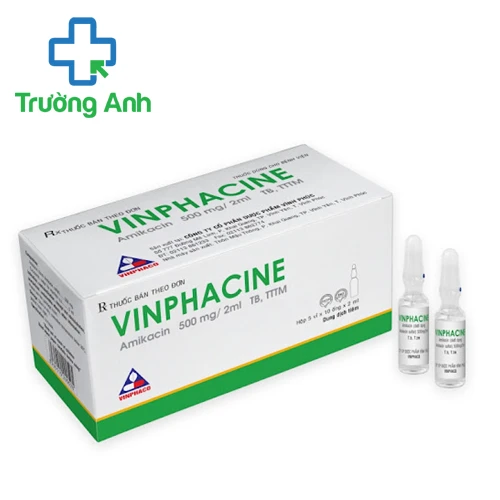 Vinphacine 500mg/2ml - Thuốc điều trị nhiễm khuẩn của Vinphaco