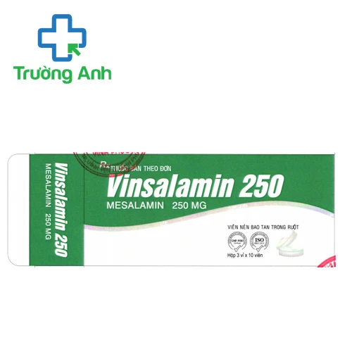 Vinsalamin 250 - Thuốc điều trị viêm loét đại trực tràng