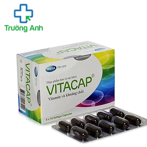 Vitacap - Bổ sung vitamin và khoáng chất cho cơ thể hiệu quả
