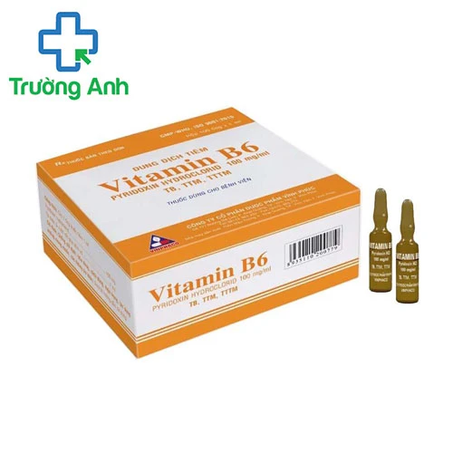 Vitamin B6 100mg/1ml Vinphaco - Điều trị bệnh do thiếu vitamin B6