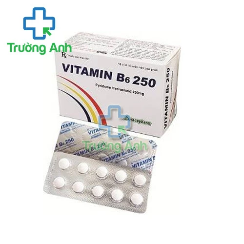 Vitamin B6 250 Vacopharm - Điều trị thiếu vitamin B6