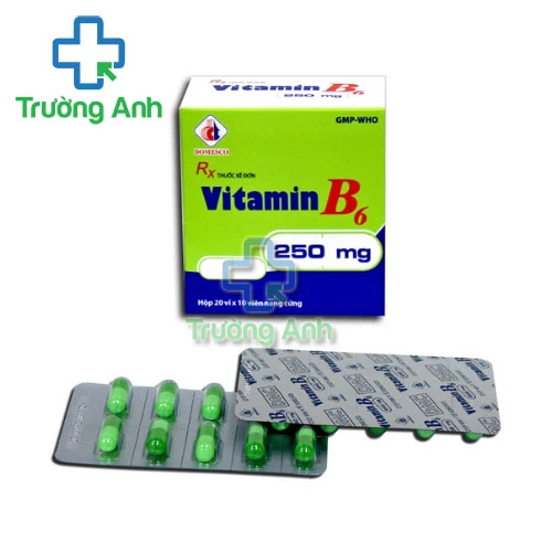 Vitamin B6 250mg Domesco - Điều trị thiếu máu