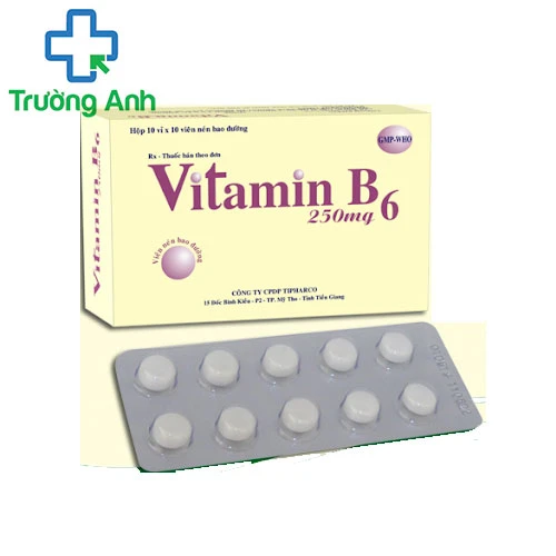 Vitamin B6 250mg Tipharco - Điều trị thiếu máu nguyên bào sắt