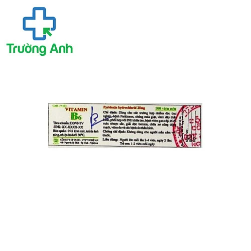 Vitamin B6 25mg DNA Pharma - Bổ sung Vitamin B6 cho cơ thể 