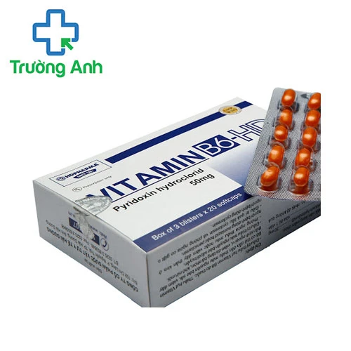 Vitamin B6-HD - Điều trị thiếu máu nguyên bào hiệu quả