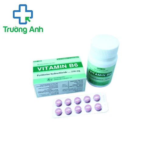 Vitamin B6 Khapharco - Điều trị thiếu máu nguyên bào sắt hiệu quả