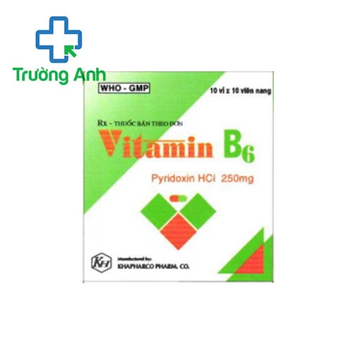 Vitamin B6 250mg Khapharco (viên nang) - Hỗ trợ điều trị bệnh thiếu máu