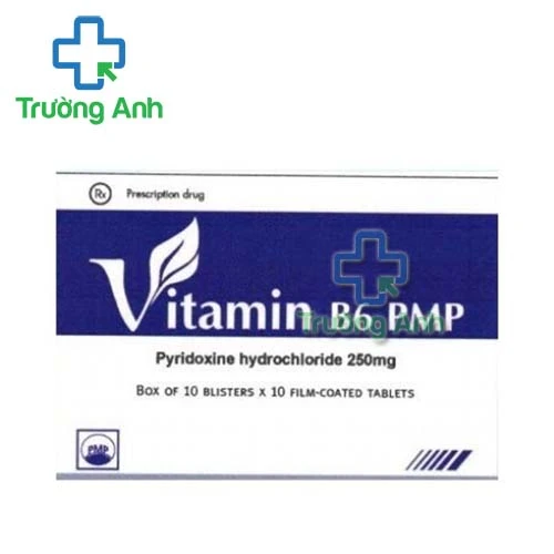 Vitamin B6 PMP 250mg Pymepharco - Điều trị chứng thiếu máu