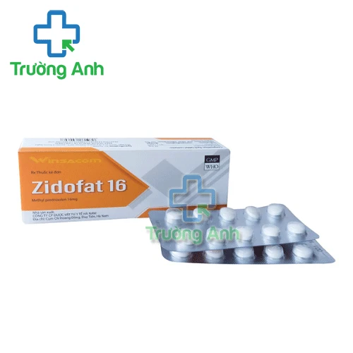 Zidofat 16 - Thuốc chống viêm hiệu quả của Hamedi